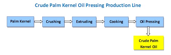 Process flow chart of palm kernel oil pressing machine