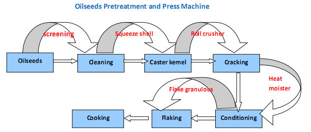Process Flow Chart of Oil Seeds Pretreatment and Pressing