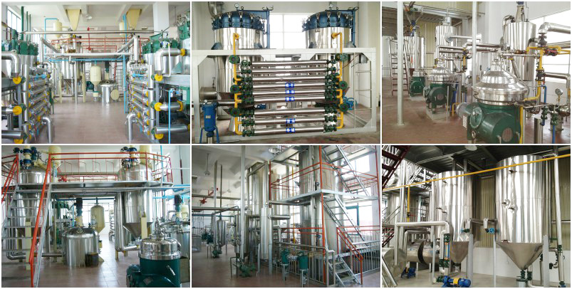 large edible oil refinery plant