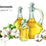 11 Impressive Benefits And Uses Of Cottonseed Oil