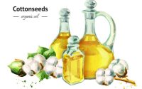 11 Impressive Benefits And Uses Of Cottonseed Oil