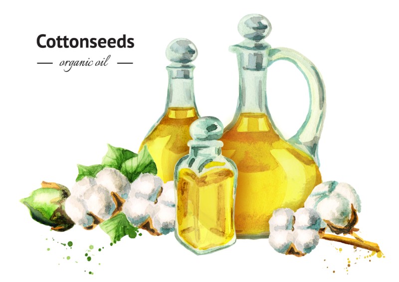 11 Impressive Benefits And Uses Of Cottonseed Oil
