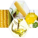 corn oil