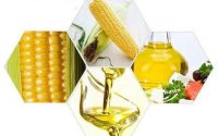 corn oil