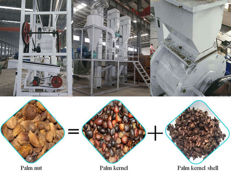 palm kernel cracking machines