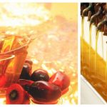 palm kernel oil processing