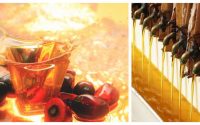 palm kernel oil processing