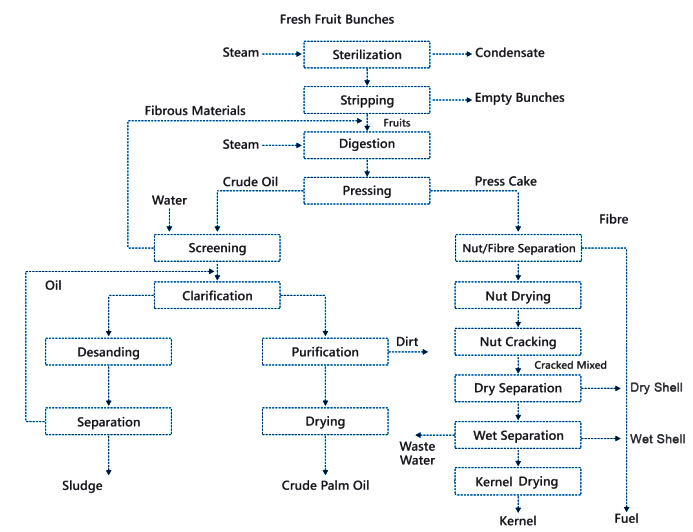 palm oil extraction process