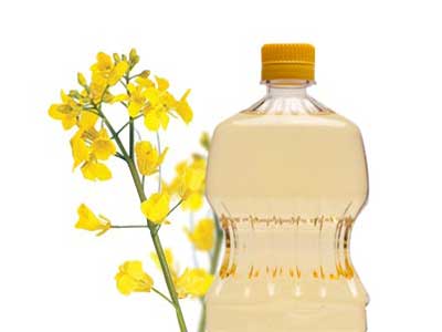 refined_rapeseed_oil_1_5