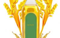 rice bran oil