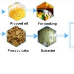 sunflower seed pre-press and meal extraction process