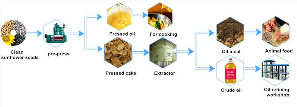 sunflower seed pre-press and meal extraction process