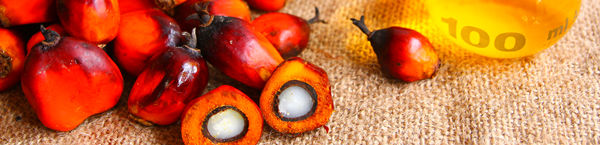 palm oil