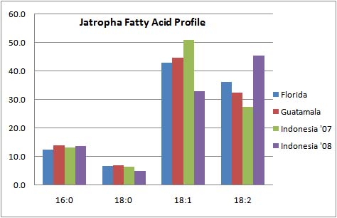 Fatty acid profile of Jatropha oil