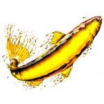 fish oil