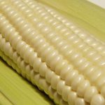 Close-up of corn on the cob