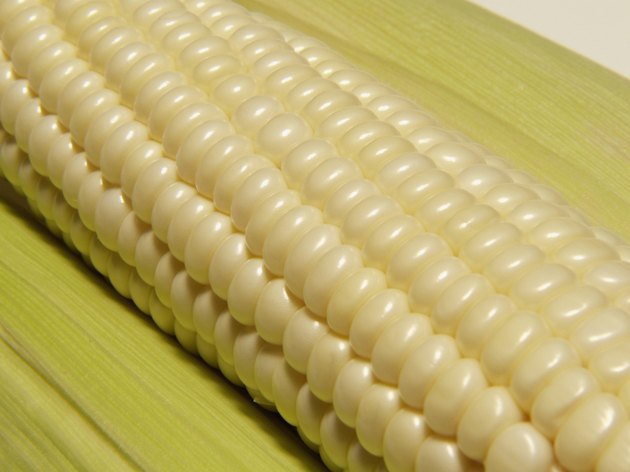 Close-up of corn on the cob