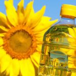 Russian sunflower oil production