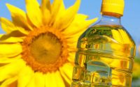 Russian sunflower oil production