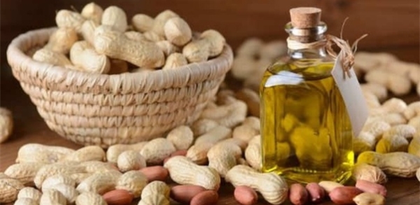 groundnut oil