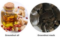 groundnut oil and groundnut meals