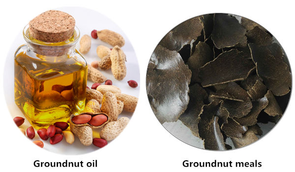 Groundnut Oil Production Business Plan Guide In Nigeria Edible Oil 