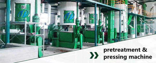 groundnut oil pretreatment & pressing machine