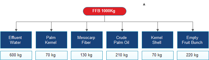 extract oil from FFB