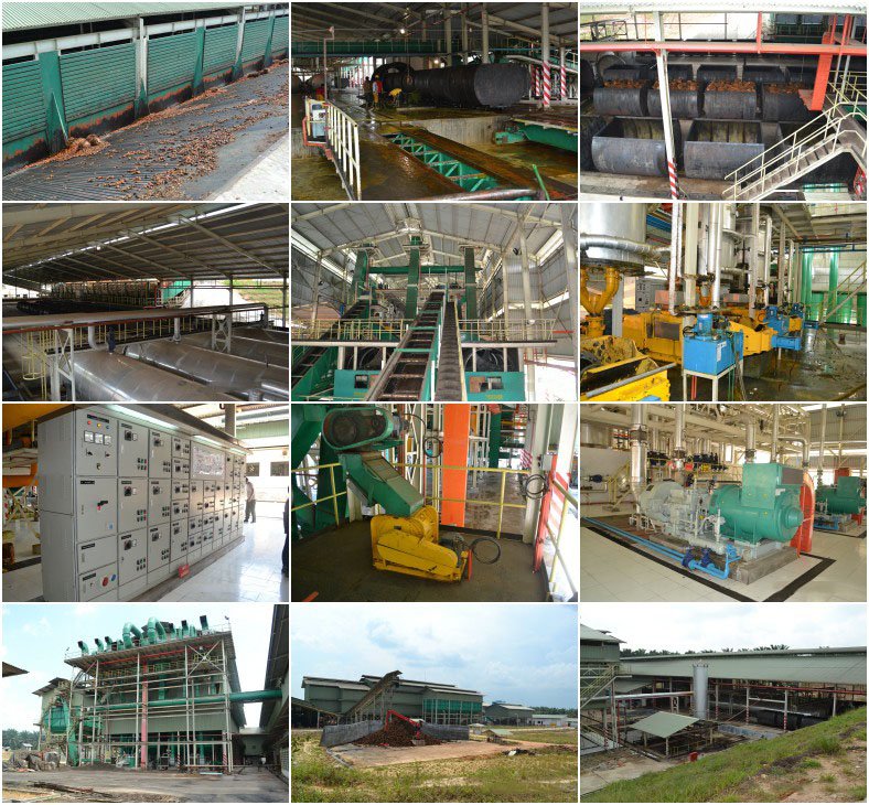 palm oil mill projects
