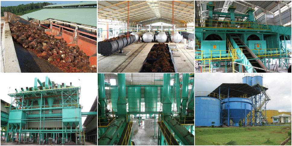 palm oil production plant projects