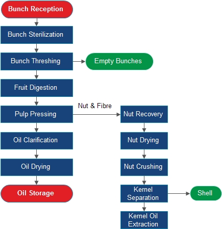 process of palm oil milling