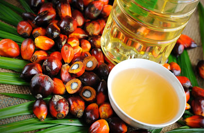 palm oil