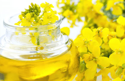 Rapeseed oil