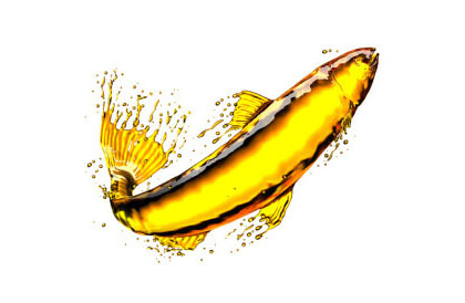 fish oil