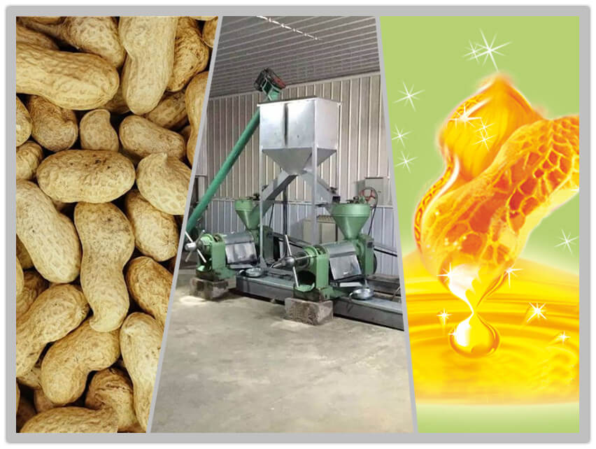 peanut oil production line