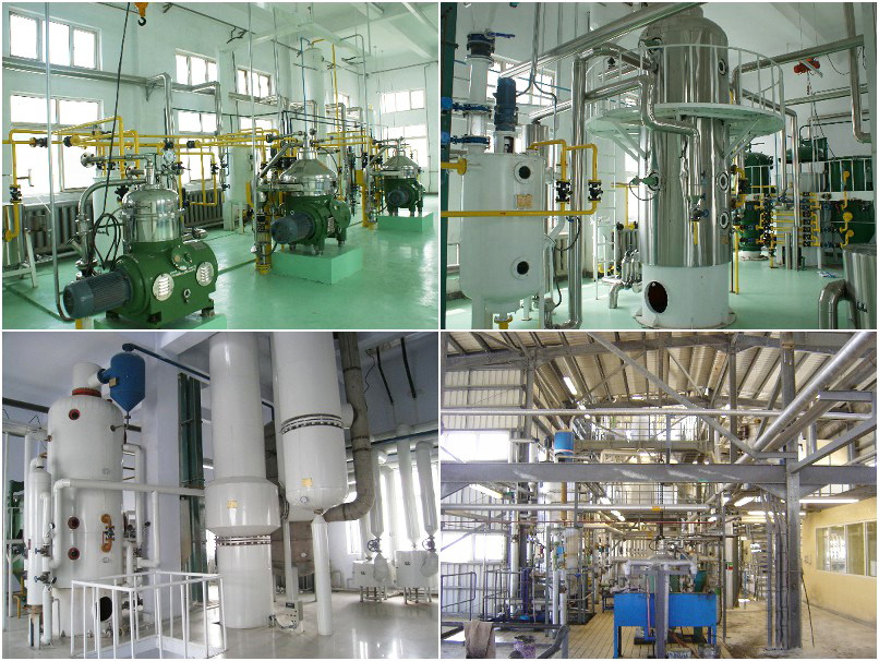 palm kernel oil refining process