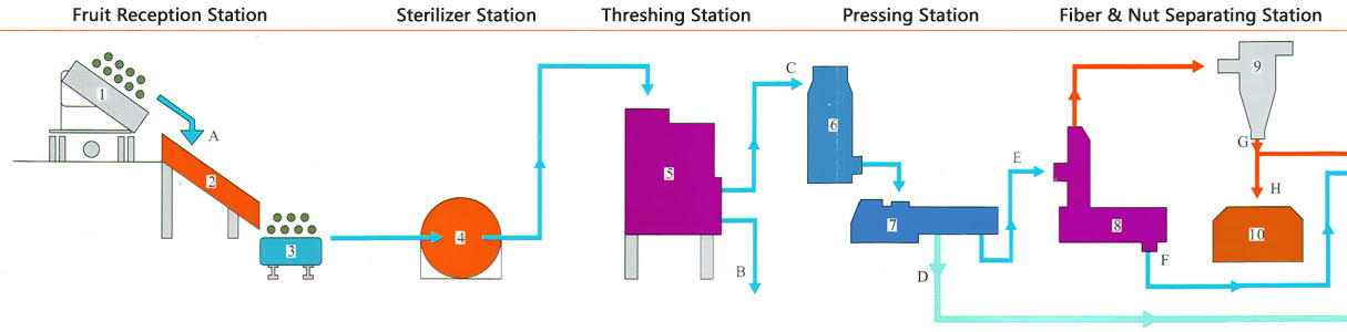 palm oil extraction process