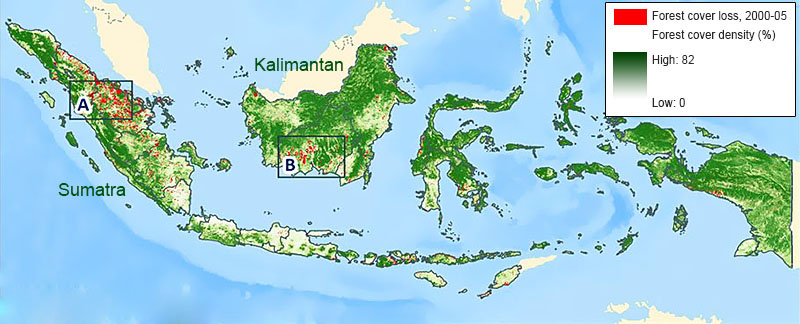 Geographical Location of Palm Oil Production
